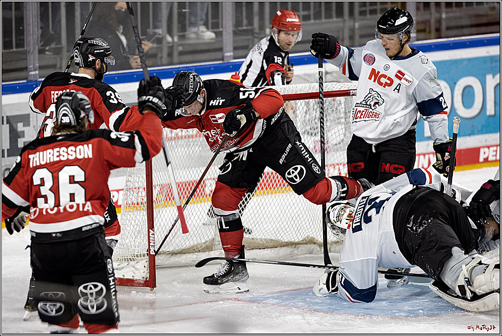 PENNY DEL;  Koelner Haie - Nuernberg Ice Tiger; Koeln, 21.09.2021